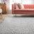 Janine Plush Shag Area Rug-900088889-900118289