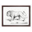 Prowling Lion by Jean Bernard - Picture Frame Drawing Print-55601968-55601971