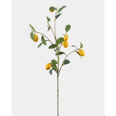 Faux Lemon Branch