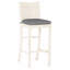 Club 30" Patio Bar Stool with Cushion-1840307191-1840308946-1813366876