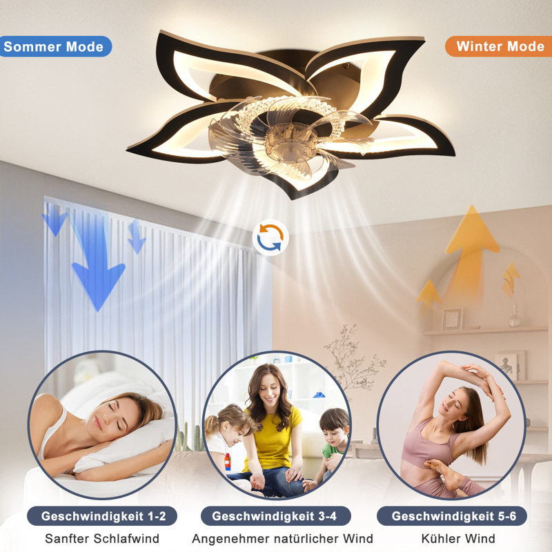 Ceiling Fan with LED Lights