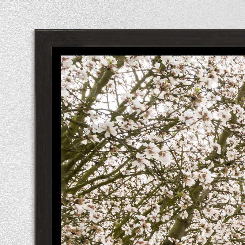 Entrance To Eden Print by Adam Mowery, Image Brush Gel, 31.75" H x 46.75" W