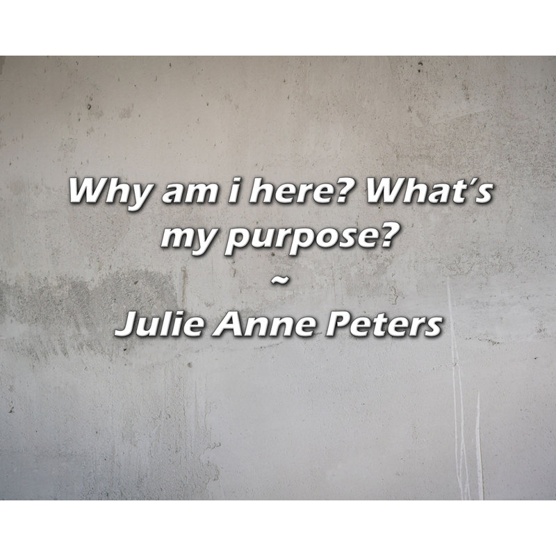 Citation de Julie Anne Peters: Pourquoi suis-je ici? Quel est mon but?