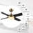 Edelbert 52'' Ceiling Fan with LED Lights-1833187486-1833187485