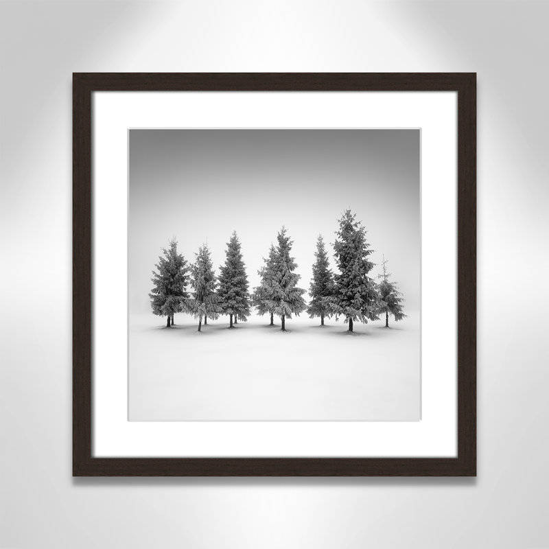 Impression d'épinette par Daniel, Noyer à grain ouvert, Imprimé mat, L 17 po x H 17 po