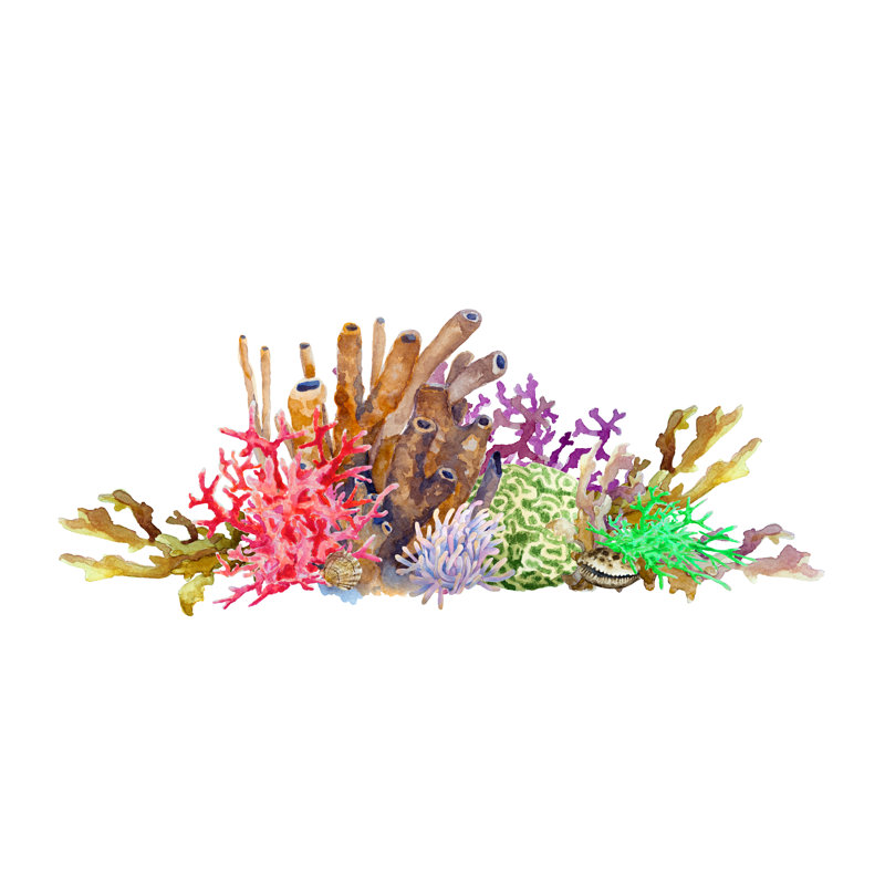 Reef With Colorful Corals - Wrapped Canvas Painting, 30cm H x 46cm W x 3.8cm D