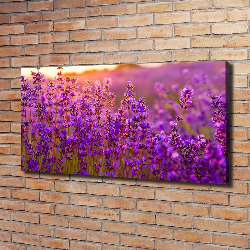 Lavender Field - Wrapped Canvas Print