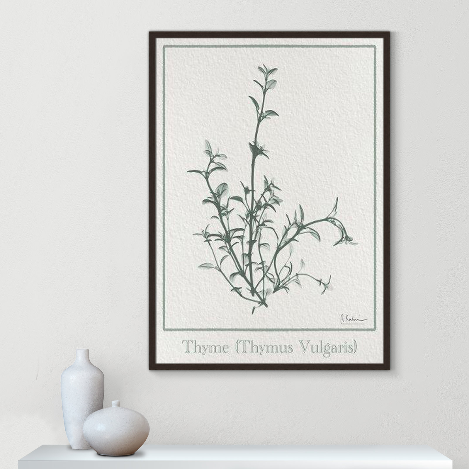 Jeanette "Thymus Vulgaris" Print, 41.5" H x 29.5" W x 1.25" D, Black Framed Paper