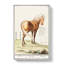 Horse by A.B. De Boodt - Wrapped Canvas Painting-55359418