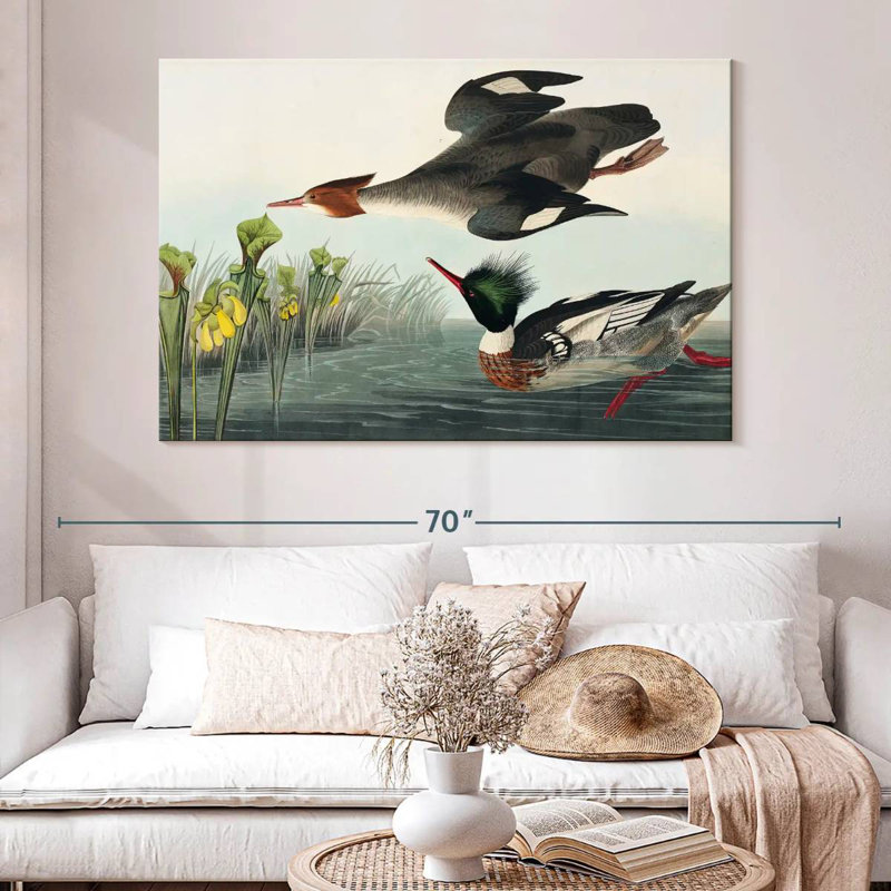 Brampt Red Breasted Merganser, 34" H x 51" W