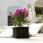 Barros Outdoor Wood Planter Box-1982443288