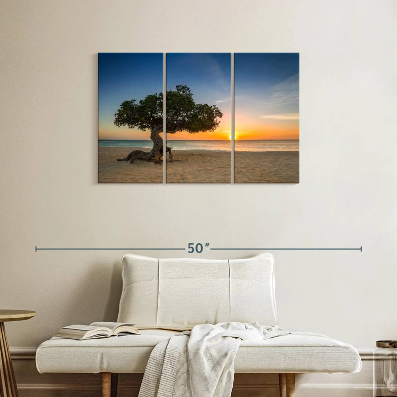 Arbre Aruba Divi Divi, H 24 po x l 38 po