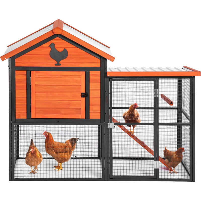 Poulailler en bois et en fer durable avec piste et toit imperméable, convient pour 5 à 7 poulets, nichoir intégré, Jaune