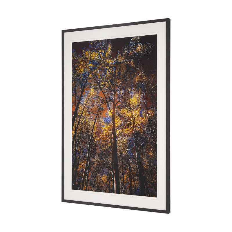 «Leafy Shelter» par Bobbie Goodrich, reproduction d'art encadrée à la main mat sous verre
