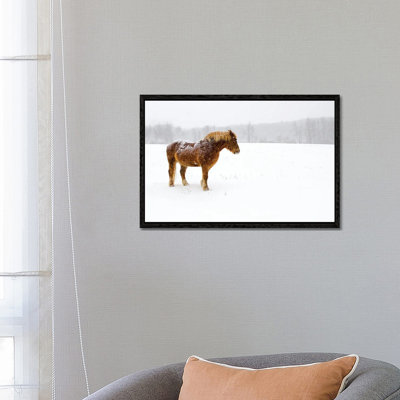 Snowbound 1 Piece Wall Art on Canvas