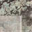 Williston Forge Turkish Modern Erased Design Wool & Silk Rug