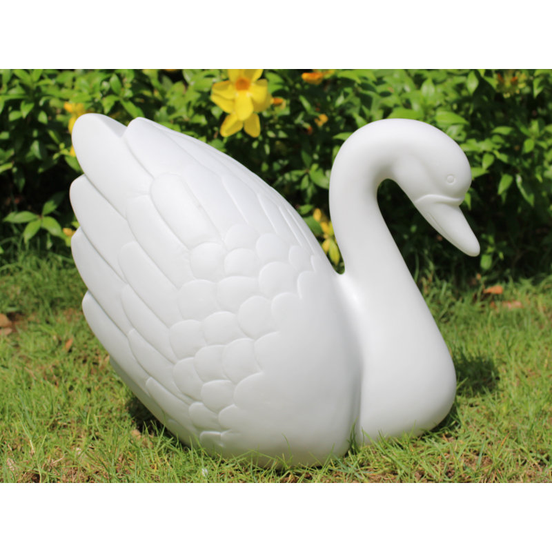  Swan