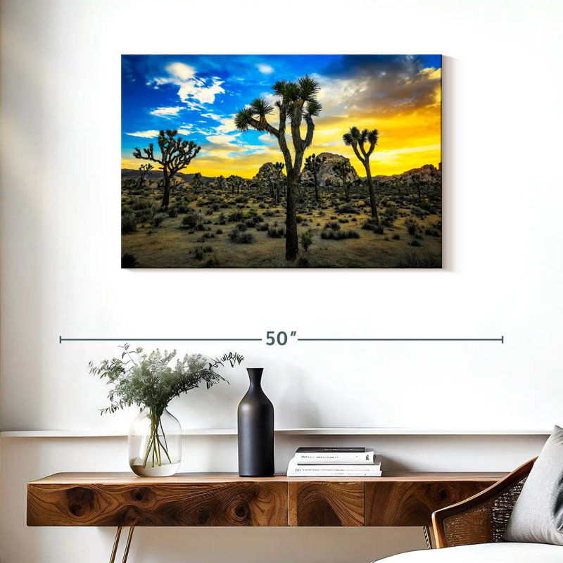 Nicci Joshua Tree Park Desert Vegetation