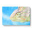 Chameleon Lizard Vol.4 - Wrapped Canvas-61848378