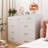9 Drawer Double Row Storage Cabinet