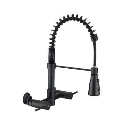 Orren Ellis Argana Kitchen Faucet