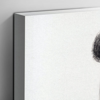 Panda Illustration - Wall Art