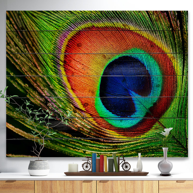 «Peacock Feather», impression, H 15 po x l 20 po x P 1 po, Bois