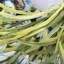 Couronne florale 26 po Forsythia pour porte d'entrée 26 po