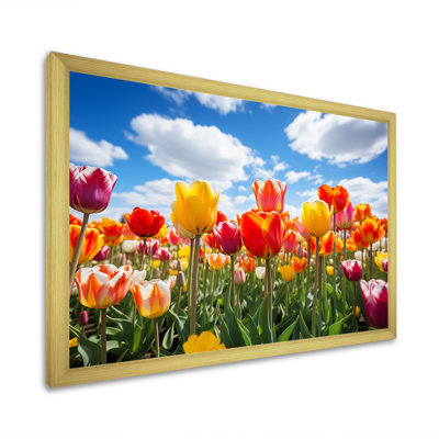 Jaune et orange, champ de tulipes, art mural