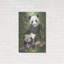 «Panda Paradise» par William Vanderdasson-101450431