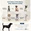 Canapé confortable et fonctionnel pour animaux avec rangement caché, idéal pour les petits et moyens chiens qui se détendent et se détendent-840309556