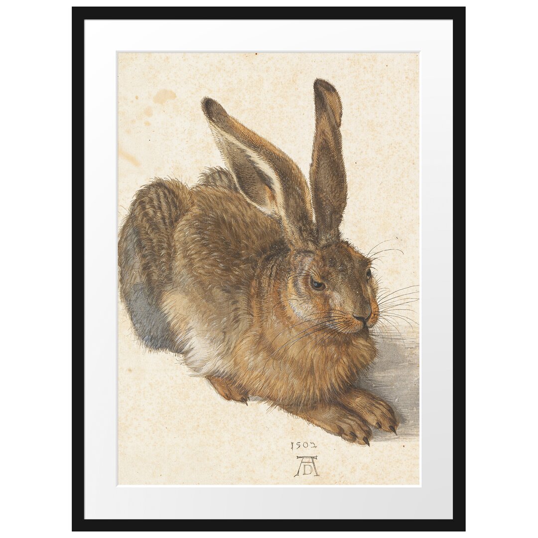 Gerahmter Grafikdruck European Hare von Albrecht DÃ¼rer