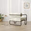 Fauteuil de salon en fer