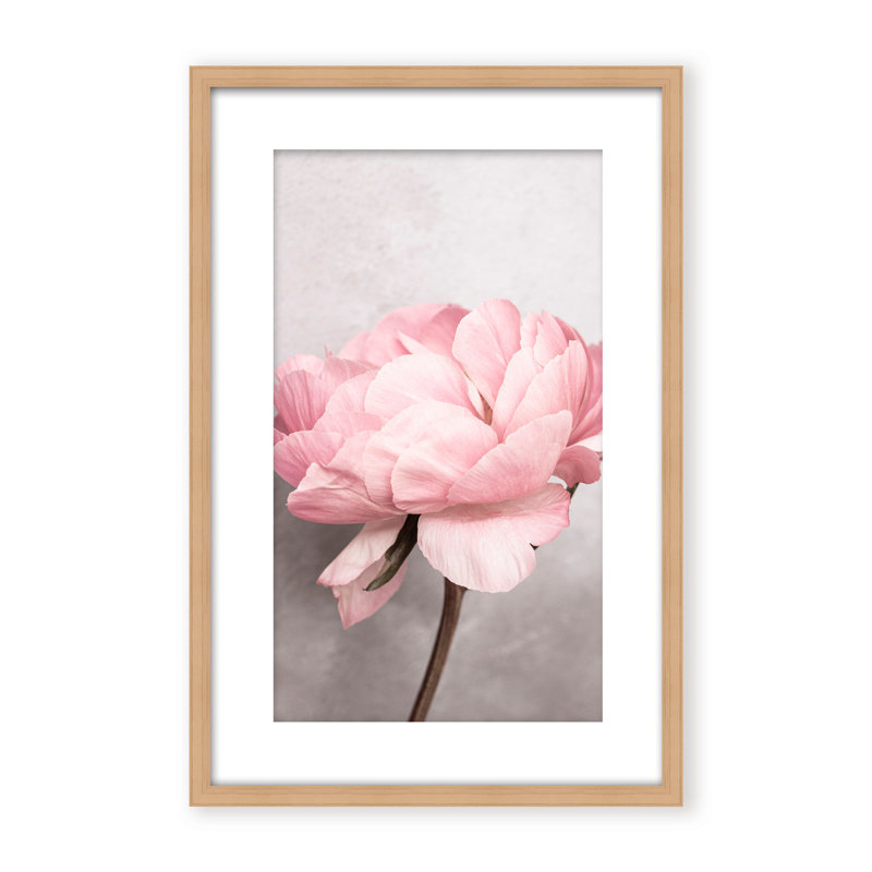 Nature Inspired Peony by  - Picture Frame Photograph on Paper, 24" H x 16" W x 1.125" D, Black, Framed Matted Print