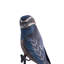 Whiskered Treeswift