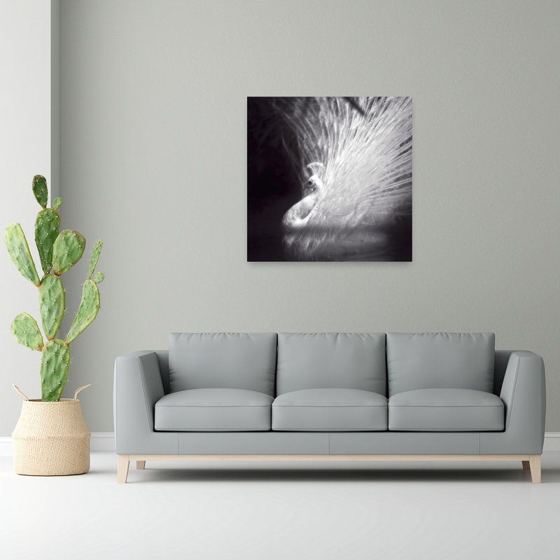 Elegant White Peacock Dramatic Elegant Contemporary Bird Nature Portrait Wall Art Print by Anna Cseresnjes - Print
