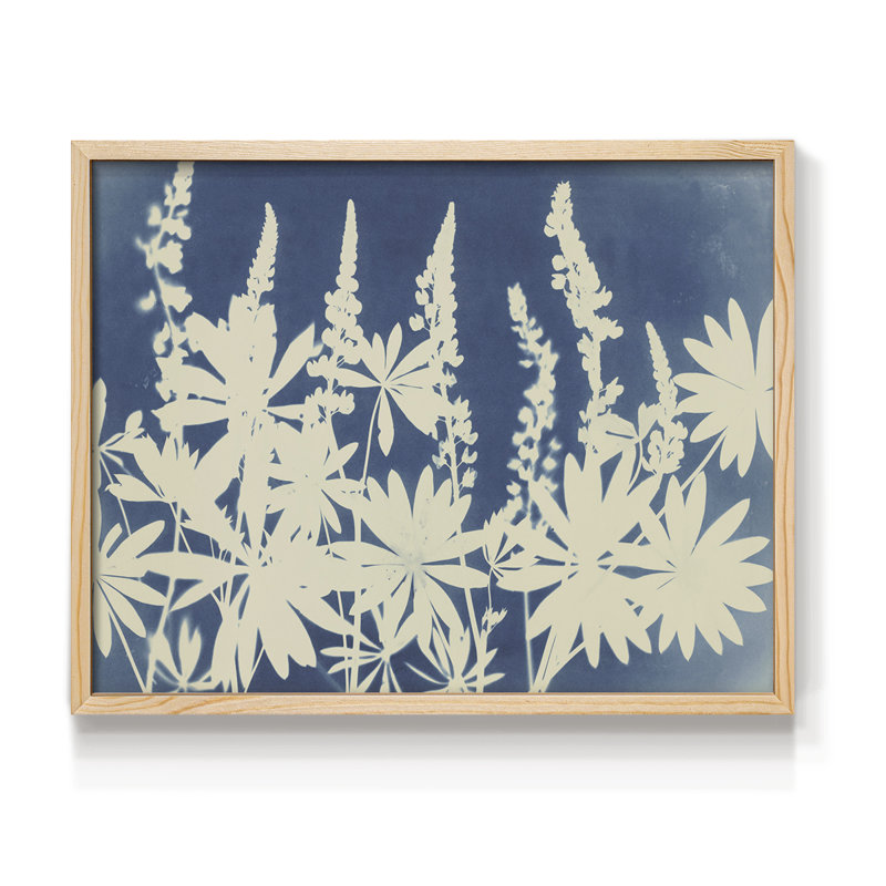 Joli lupin - reproduction encadrée, H 8 po x l 10 po, Naturel