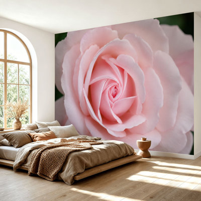 Wall Mural Peel and Stick Wallpaper Close up pink Damask Rose flower Self-Adhesive Removable Contact Paper Wall Decor for Living Room Bedroom 69"H x 96"W