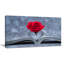 Rose rouge à l'intérieur du livre - impression sur toile tendue-18437057-33219996