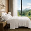Ensemble de draps en coton Luxe Supima-138533813-138533814