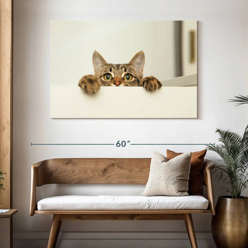 Peeking Young Cat, H 32 po x l 48 po