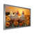 Silver Picture Framed