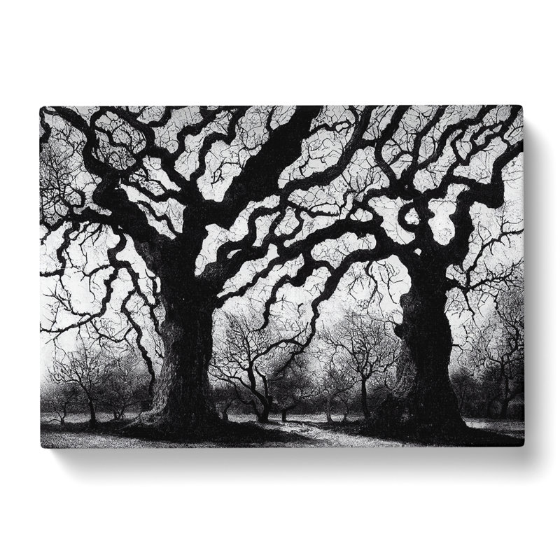 Graceful Oak Trees - Wrapped Canvas, 50cm H x 76cm W x 3cm D