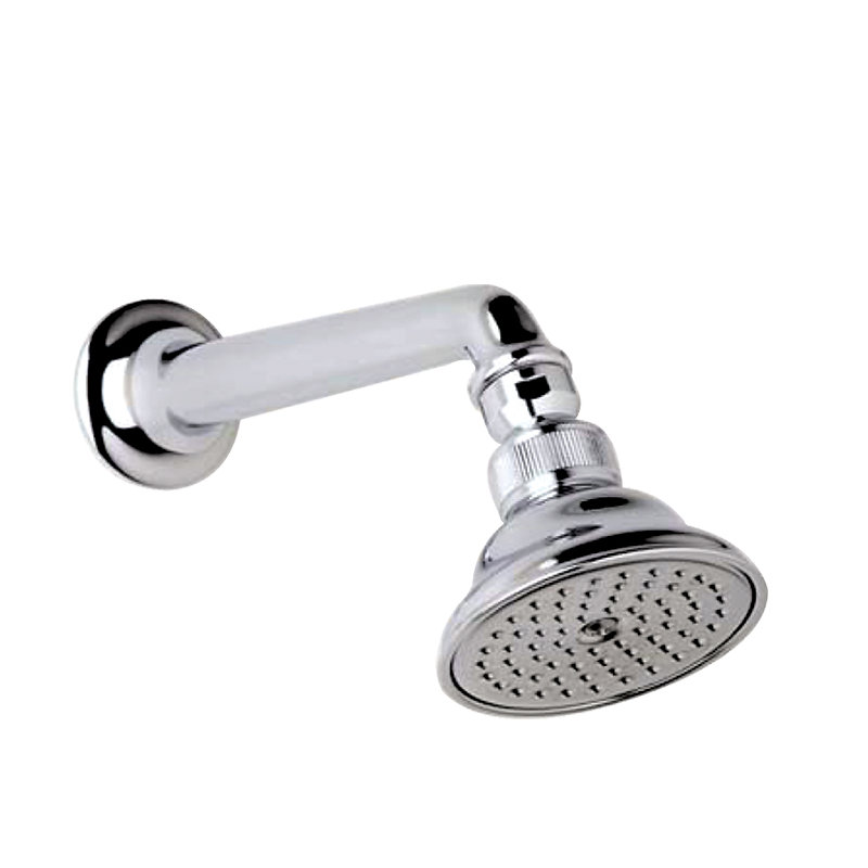 Multi Function Adjustable Shower Head, Satin Nickel