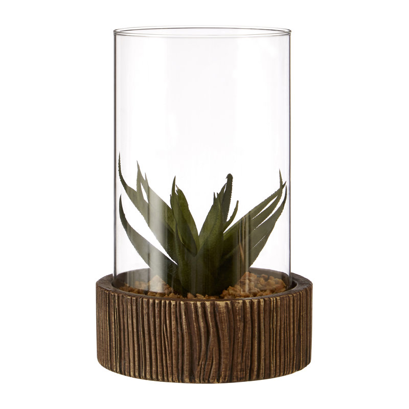 Sprague Succulent in Stone Jar, 17cm H x 10cm W x 10cm D, Brown