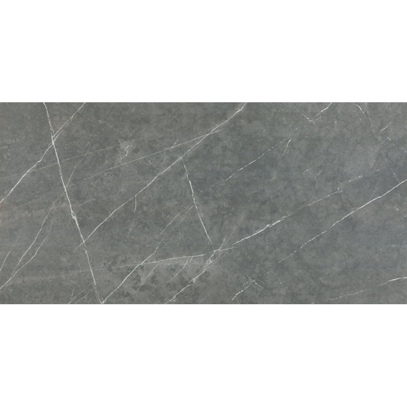 Alastair 24" x 48" Floor & Wall Tile, Gray