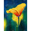 Fleurs de contraste - Art floral sur toile pour la décoration intérieure