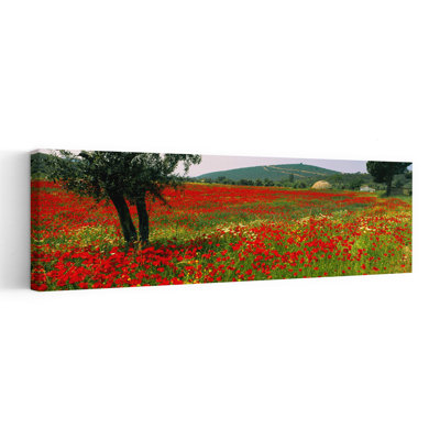 Coquelicots rouges dans un champ, Turquie, tranquille, abstrait, coquelicot contemporain, paysage, art mural