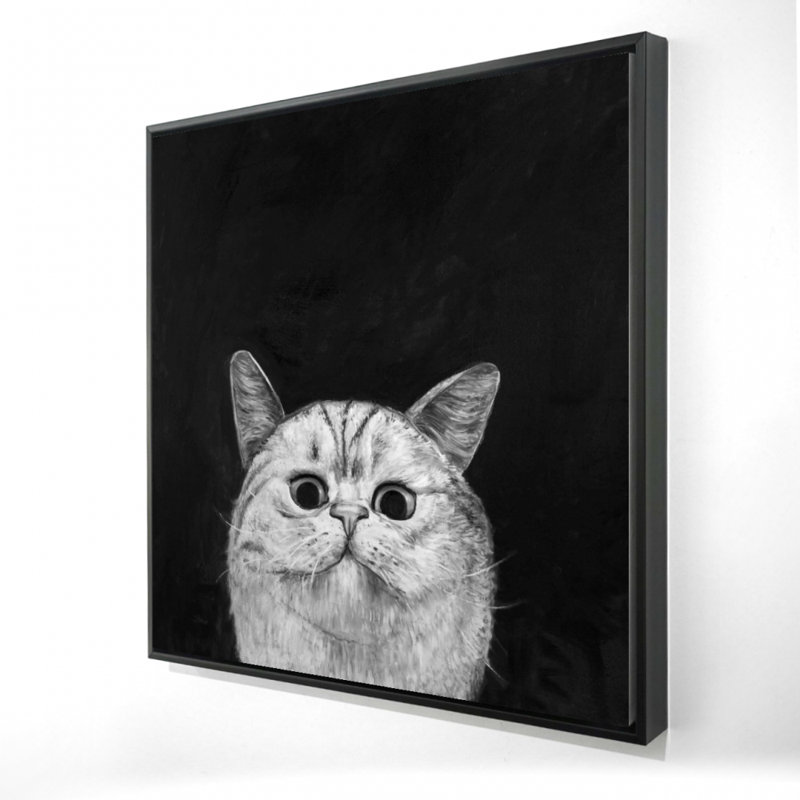«Watch Cat»