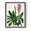 Reproduction encadrée de floral antique II - bois massif-152304483-152304482